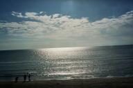 Photos from the journey by train from Leuchars to Aberdeen.
